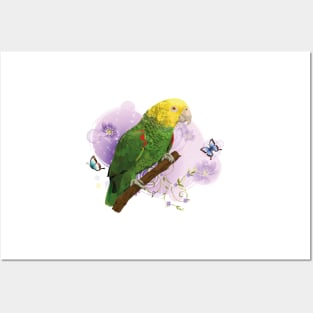 yellow-headed parrot Posters and Art